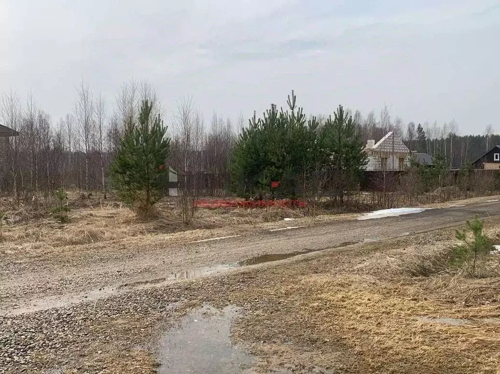 Участок в Ярославская область, Некрасовское с/пос, д. Смирново ул. ... - Фото 1