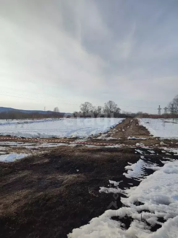 Участок в Амурская область, Благовещенский район, с. ... - Фото 1