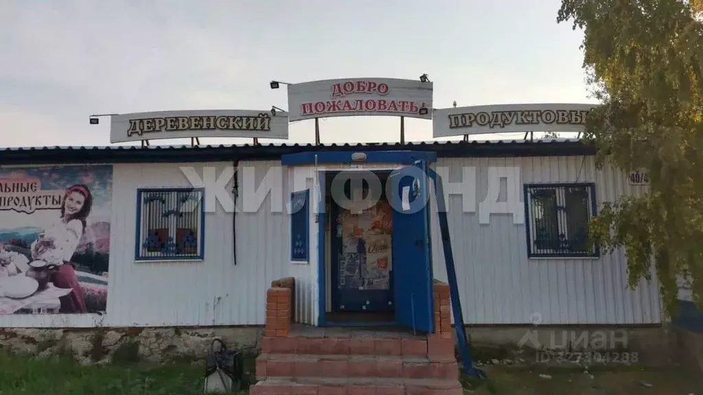 Помещение свободного назначения в Новосибирская область, Новосибирский ... - Фото 1