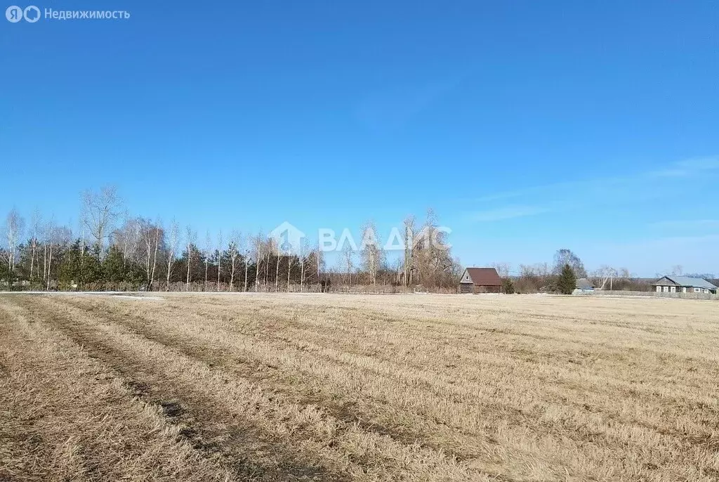 Участок в Вологодский муниципальный округ, деревня Лазарево (9 м) - Фото 1