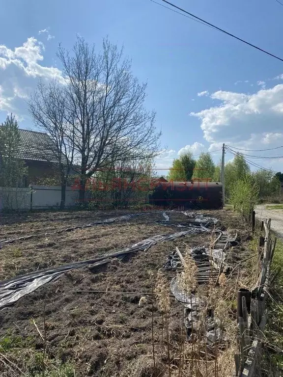 Участок в Новосибирская область, Новосибирский район, Новолуговской ... - Фото 1