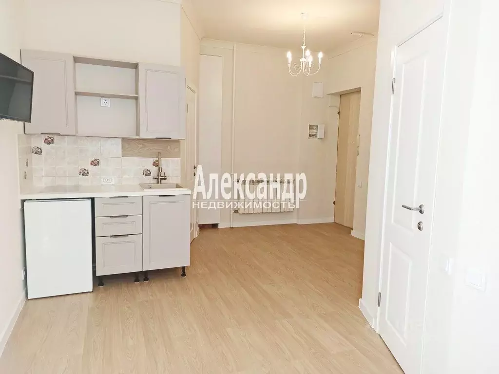 Студия Санкт-Петербург Московский просп., 155 (23.4 м) - Фото 1