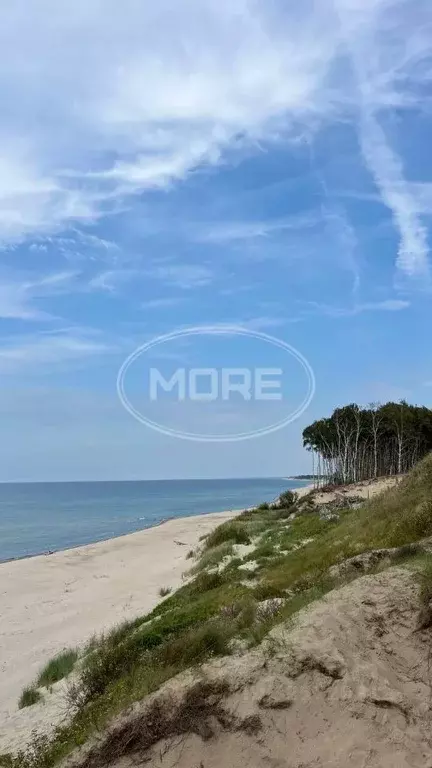 Участок в Калининградская область, Зеленоградский муниципальный округ, ... - Фото 1