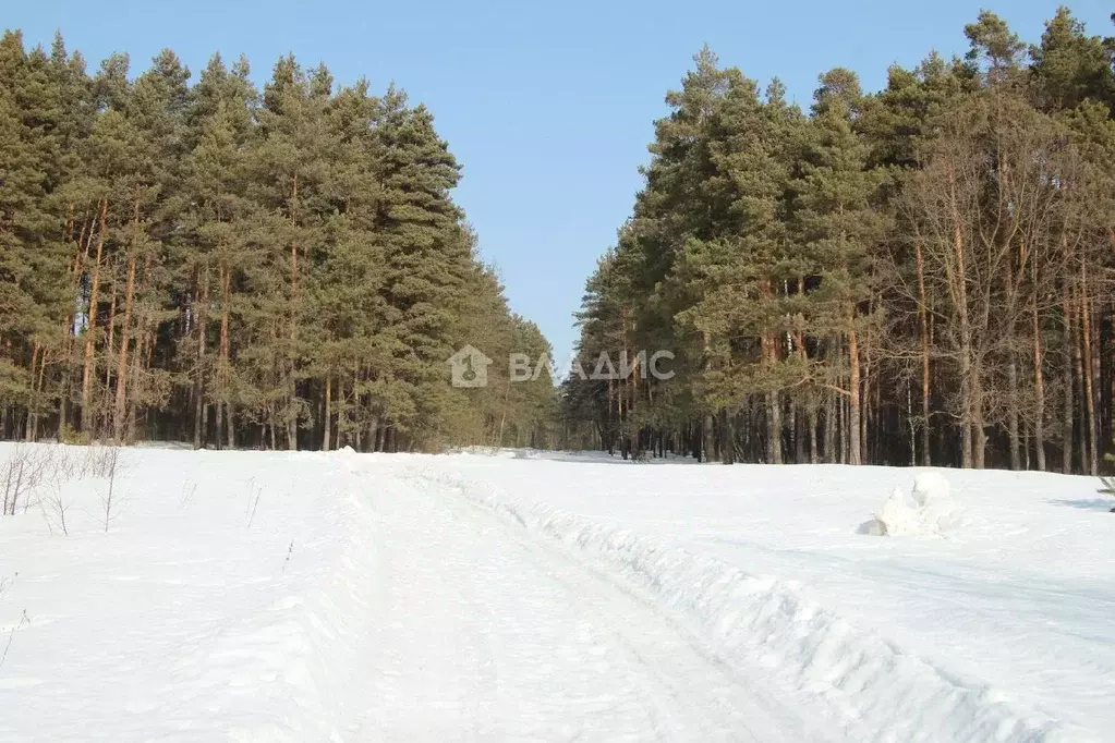 Участок в Московская область, Воскресенск городской округ, д. Ильино  ... - Фото 0