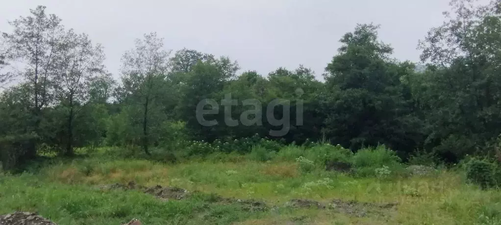 Участок в Северная Осетия, Владикавказ Учитель СТ, 398/2 (5.0 сот.) - Фото 1