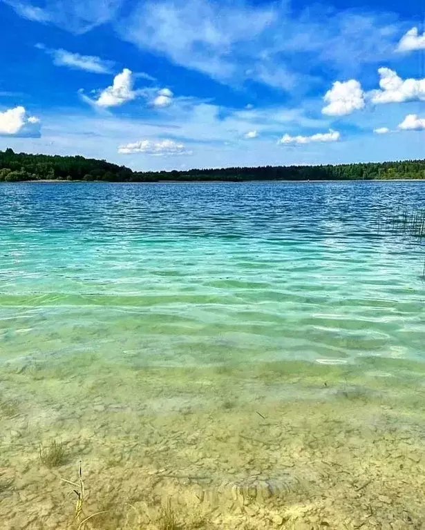 Участок в Ленинградская область, Волосовский район, Калитинское с/пос, ... - Фото 2