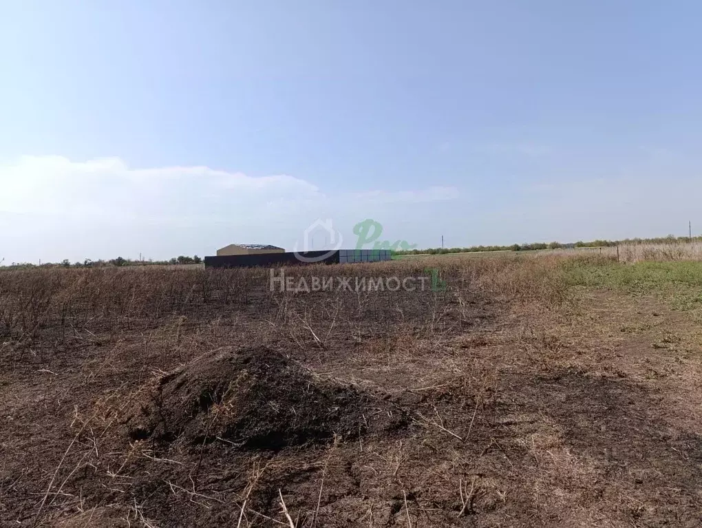 Участок в Краснодарский край, Ейск ул. Чайковского (6.0 сот.) - Фото 1
