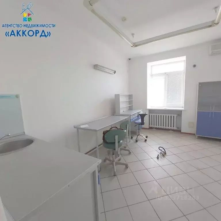 Офис в Алтайский край, Барнаул ул. Анатолия, 87 (55 м) - Фото 2