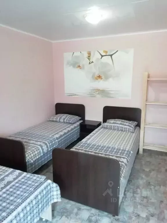 Дом в Алтайский край, Яровое Барнаульская ул., 53 (24 м) - Фото 2
