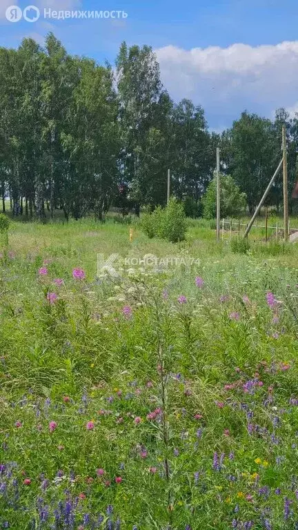 Участок в Чебаркуль, Осенняя улица (16.6 м) - Фото 2