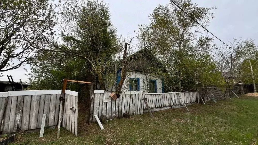 Дом в Амурская область, с. Тамбовка ул. Тамбовская, 101 (27 м) - Фото 1