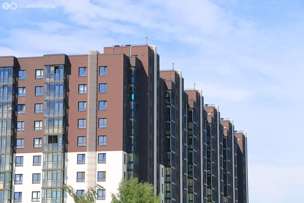 Помещение свободного назначения (87.3 м) - Фото 2