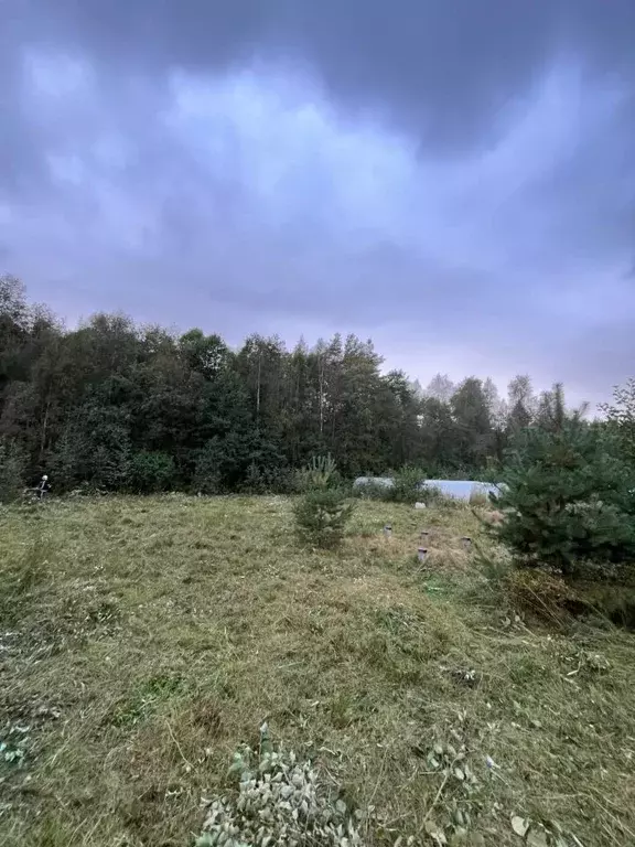 Участок в Ленинградская область, Выборгский район, Рощинское городское ... - Фото 1