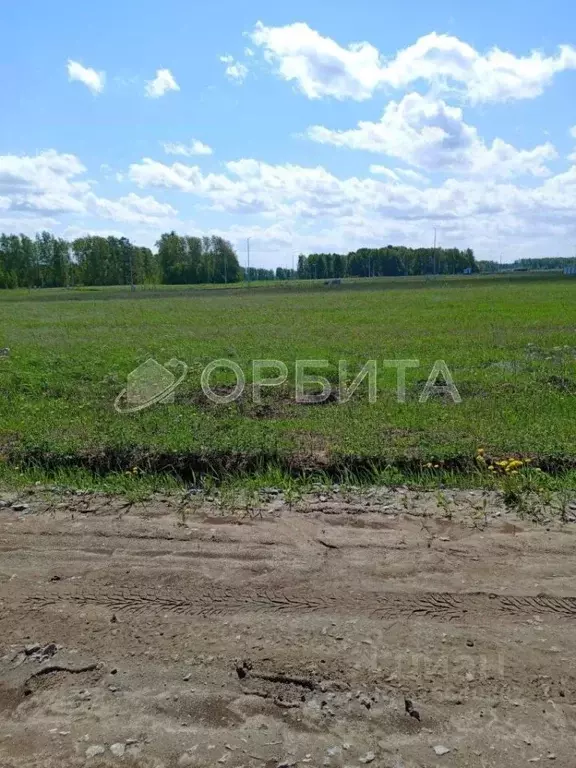 Участок в Тюменская область, Тюменский муниципальный округ, ... - Фото 1