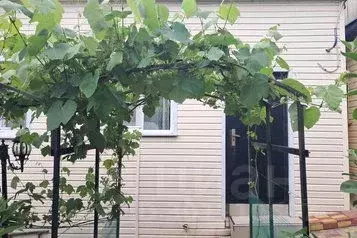 Дом в Краснодарский край, Туапсе Парусная ул., 6 (35 м) - Фото 1