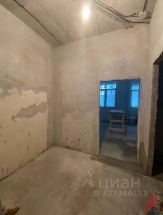 Студия Московская область, Подольск городской округ, д. Борисовка ул. ... - Фото 1