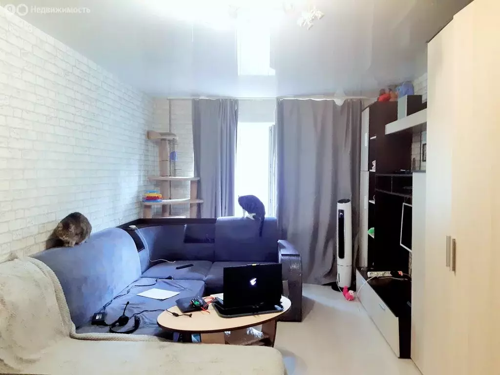 1-комнатная квартира: Екатеринбург, Шефская улица, 97 (32 м) - Фото 2