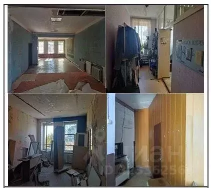 Помещение свободного назначения в Алтайский край, Павловский район, ... - Фото 2