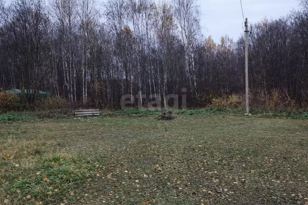 Участок в Псковская область, Псковский муниципальный округ, ... - Фото 1