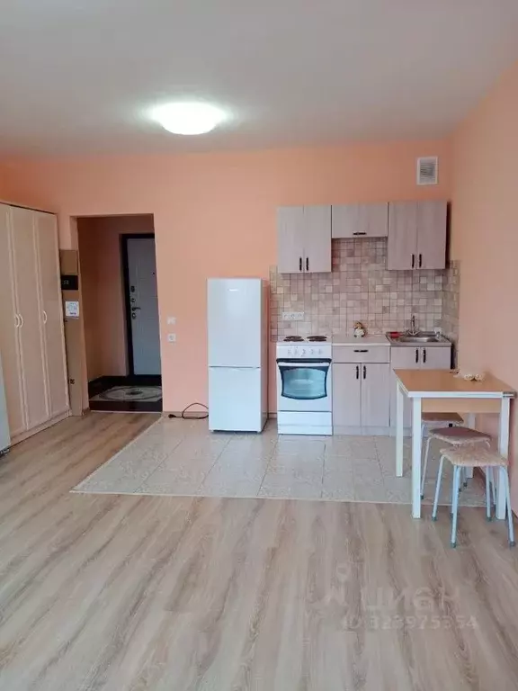 Студия Новосибирская область, Новосибирск ул. Виктора Шевелева, 36/1 ... - Фото 1