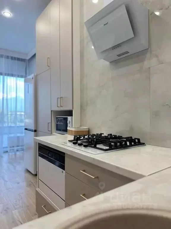 1-к кв. Калининградская область, Зеленоградск ул. Гагарина, 87 (47.0 ... - Фото 2