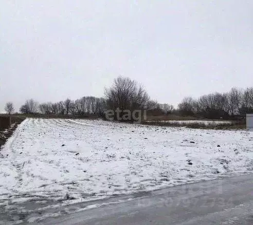 Участок в Воронежская область, Новоусманский район, с. Орлово ... - Фото 1