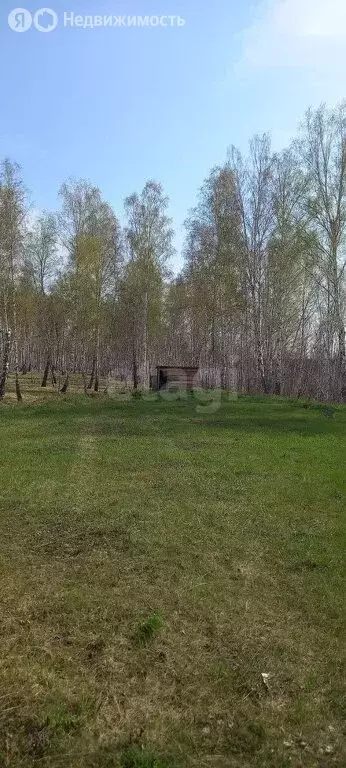 Участок в Первомайский район, село Таловка (54.77 м) - Фото 2