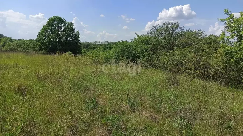 Участок в Белгородская область, Белгородский район, Беломестненское ... - Фото 0