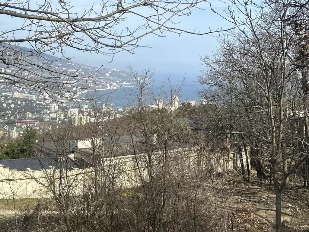 Участок в Крым, Ялта городской округ, Виноградное пгт  (45.0 сот.) - Фото 0
