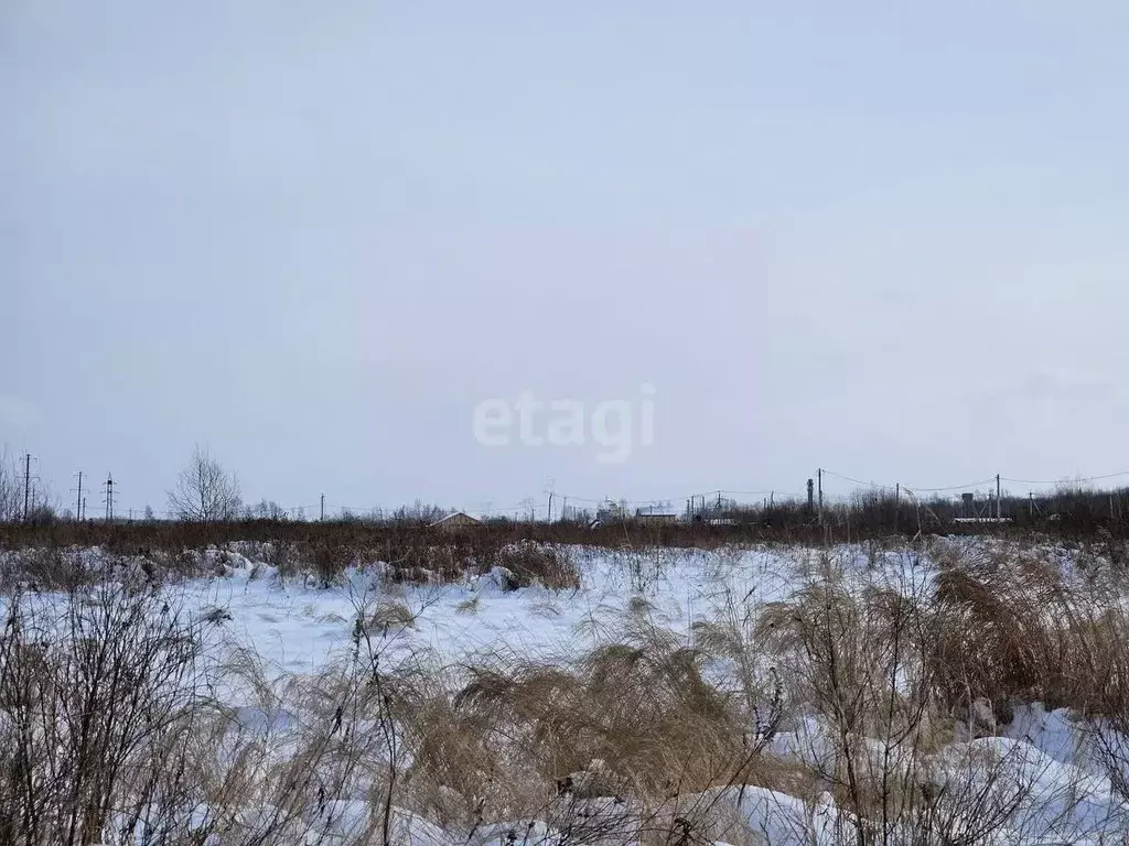 Участок в Хабаровский край, Хабаровский район, с. Восточное  (12.0 ... - Фото 2