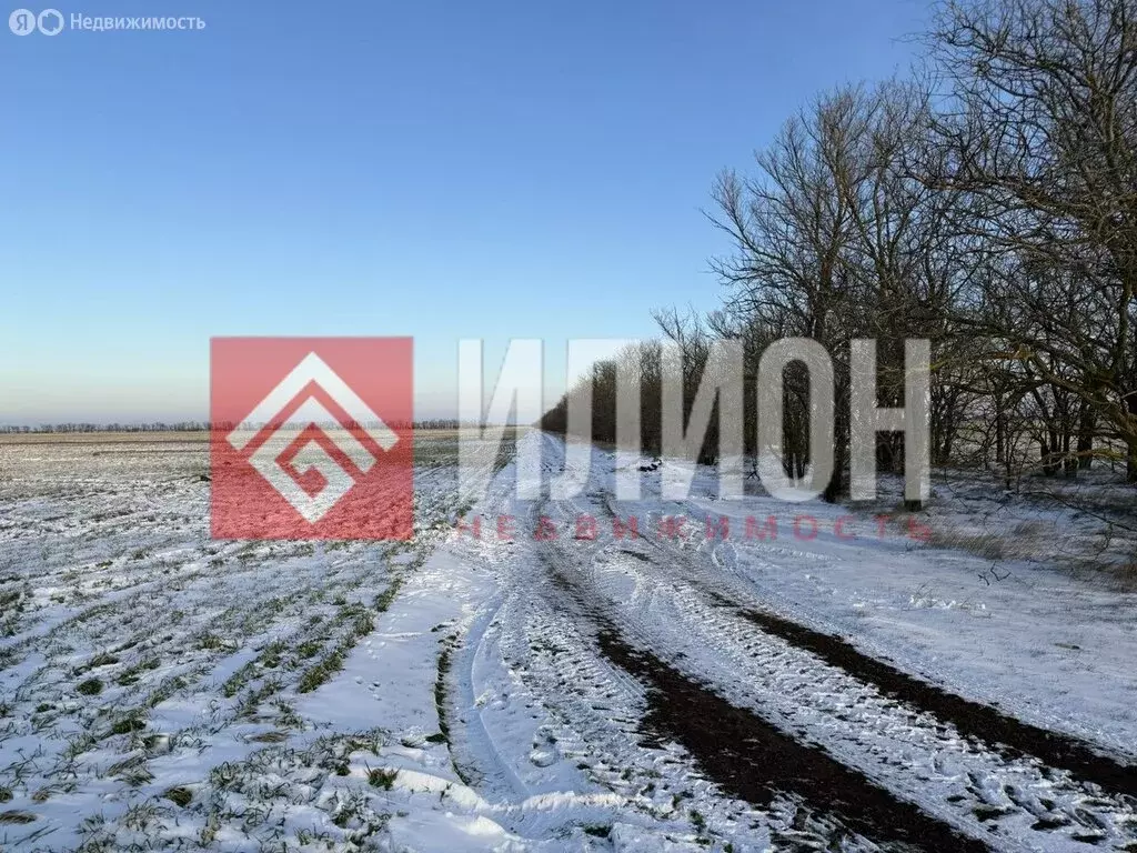 Участок в Синицынское сельское поселение (115 м) - Фото 1