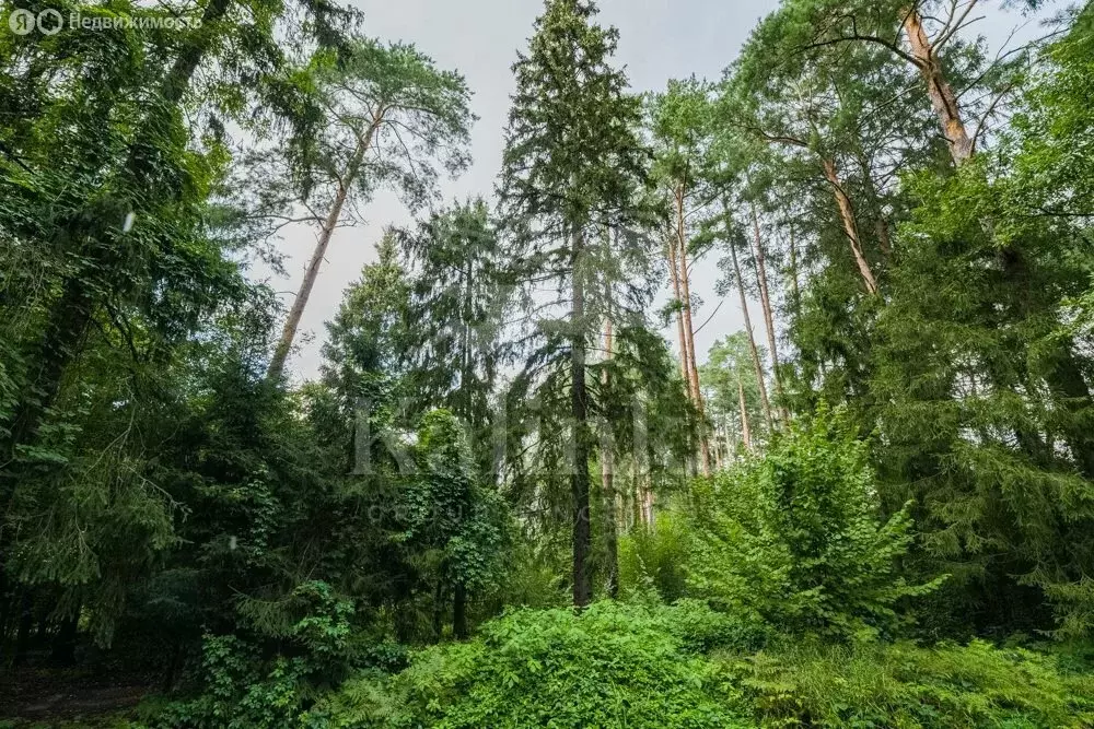 Участок в деревня Новодарьино, ДП Новодарьино РАН (100 м) - Фото 1