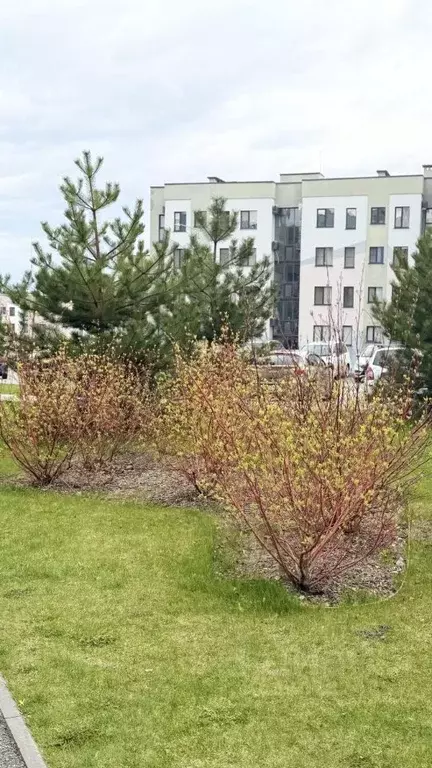 Студия Белгородская область, Белгород ул. Семейная, 33 (27.0 м) - Фото 1