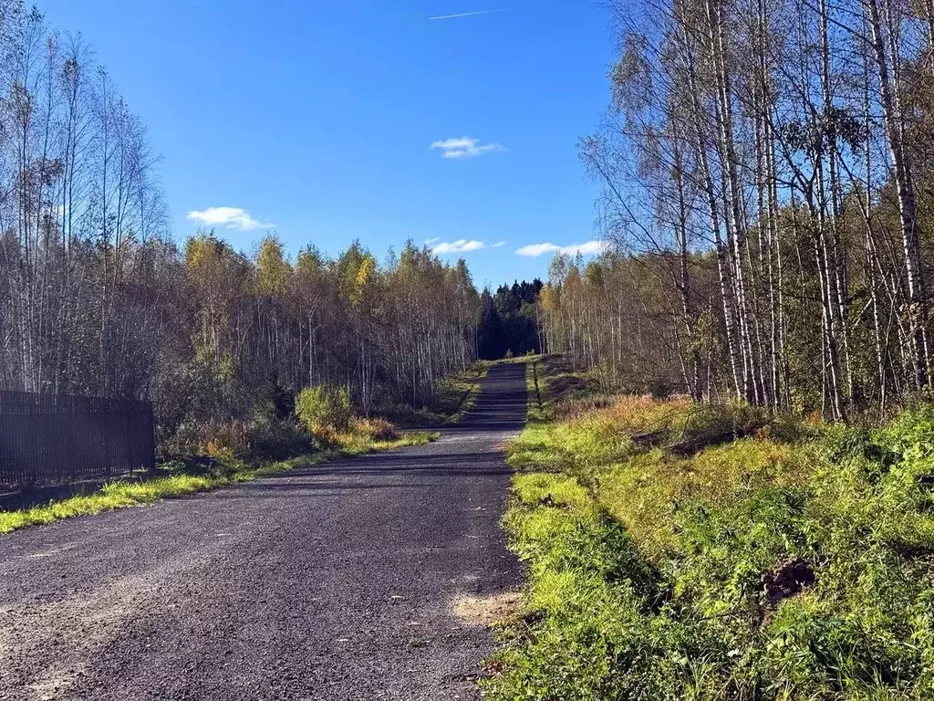 Участок в Московская область, Дмитровский муниципальный округ, Сбоево ... - Фото 1