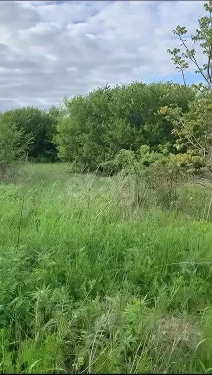 Участок в Ростовская область, Батайск Весна ДНТ, ул. 6-й Проезд (6.0 ... - Фото 2