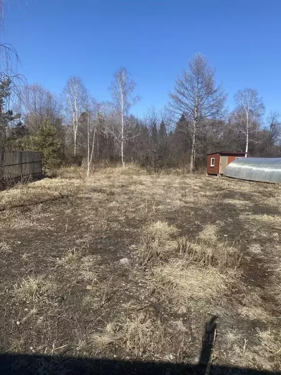 Участок в Иркутская область, Иркутск Светлый СНТ, ул. Береговая, 103 ... - Фото 1