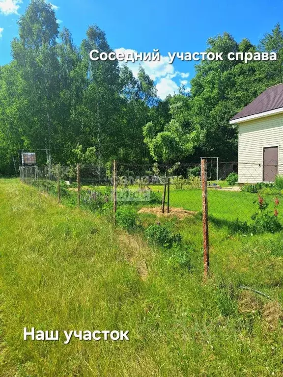 Участок в Липецкая область, Добровский муниципальный округ, с. Кривец ... - Фото 0
