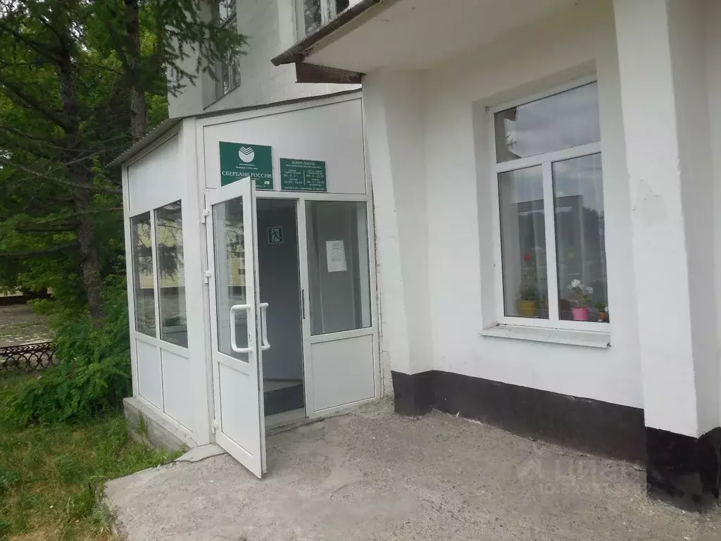 Помещение свободного назначения в Воронежская область, Лискинский ... - Фото 2