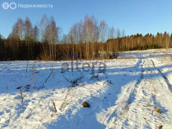 Участок в Казань, садоводческое некоммерческое товарищество Нокса-Авиа ... - Фото 0