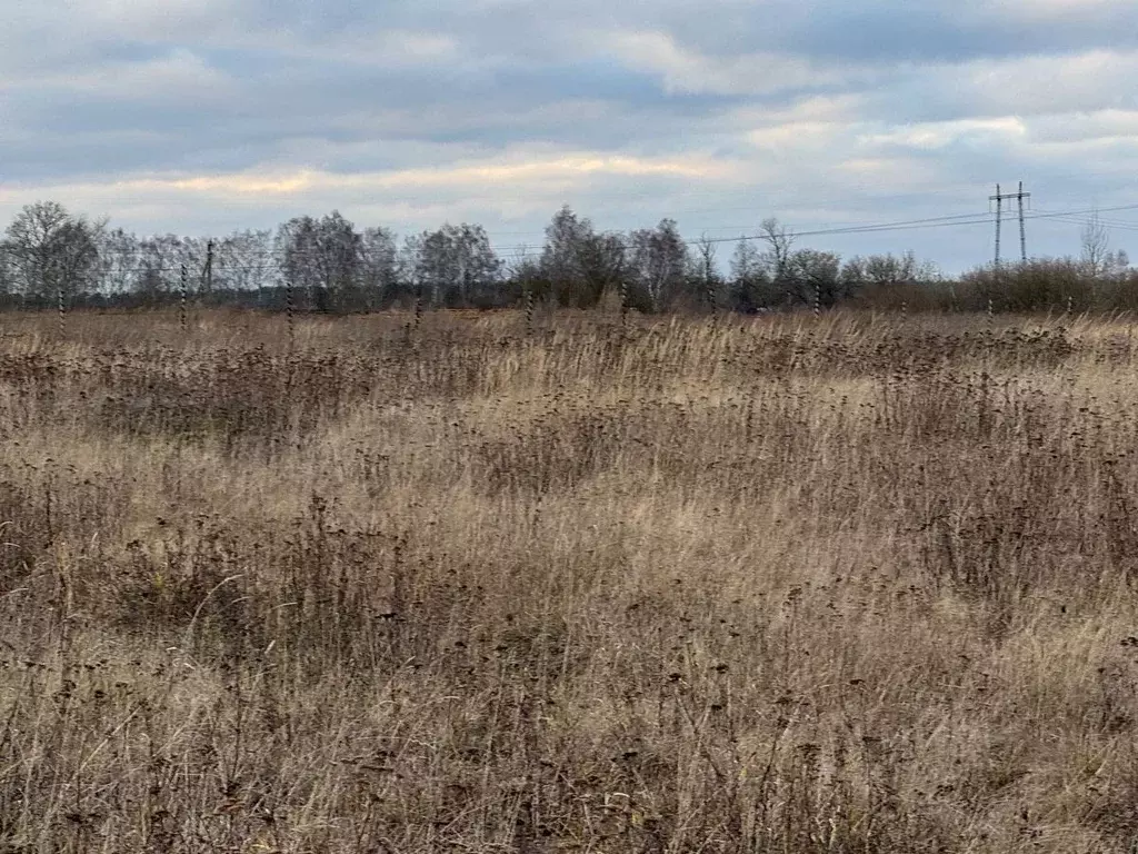 Участок в Московская область, Богородский городской округ, д. Зубцово  ... - Фото 0