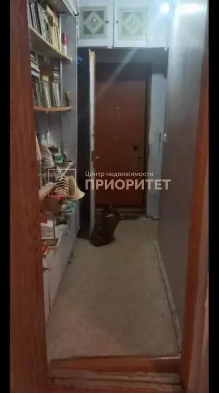 Квартира, 1 комната, 33.7 м - Фото 2