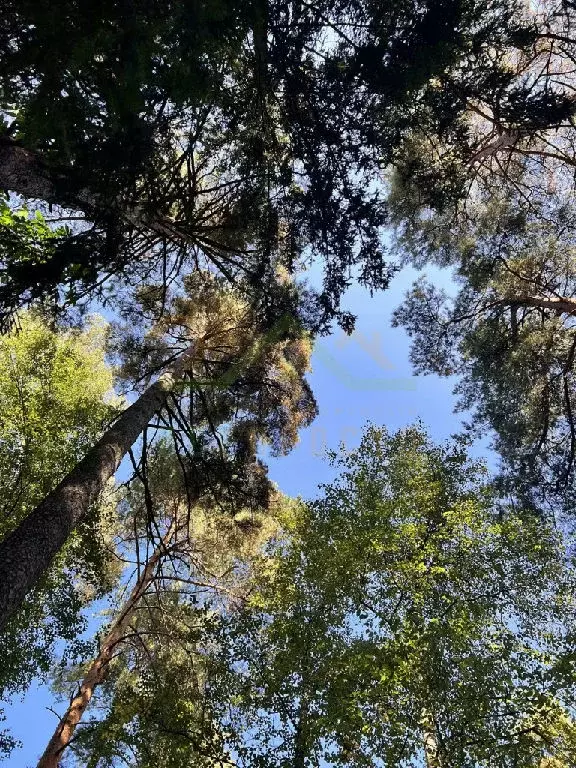 Продается участок в г. Мытищи - Фото 2