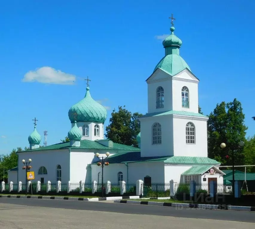 Участок в Нижегородская область, Шаранга рп ул. Медицинская (15.0 ... - Фото 1