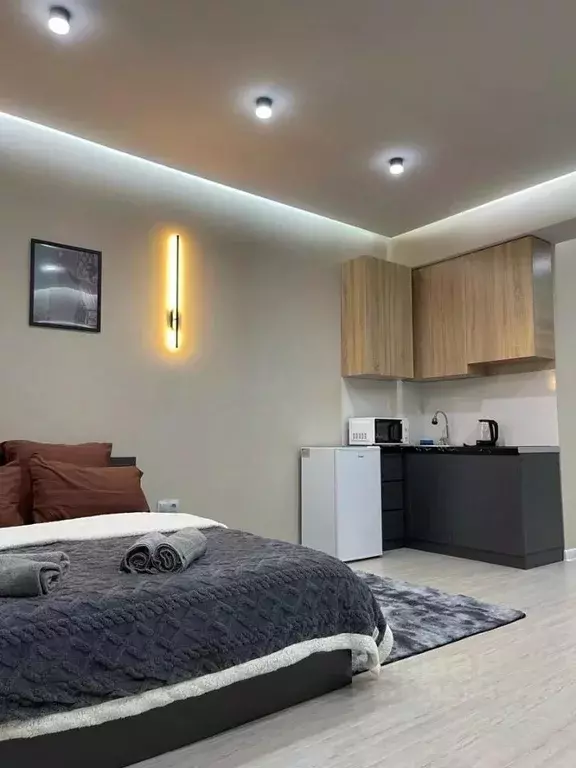 Студия Москва ул. Арбат, 47/23 (24.0 м) - Фото 1