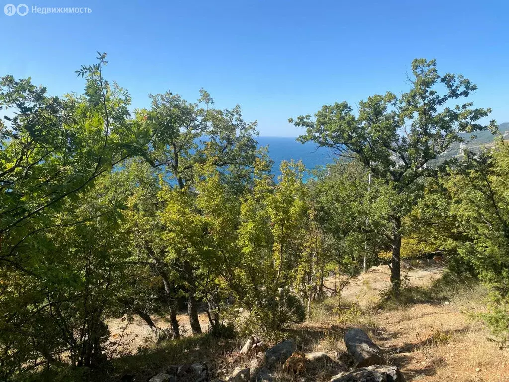 Участок в Республика Крым, муниципальный округ Ялта, посёлок ... - Фото 1