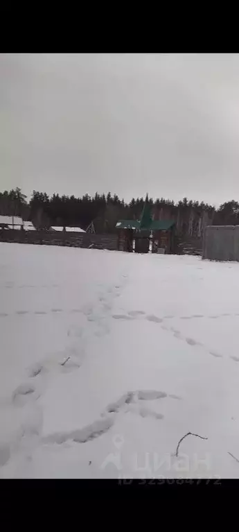 Производственное помещение в Алтайский край, Егорьевский район, ... - Фото 2