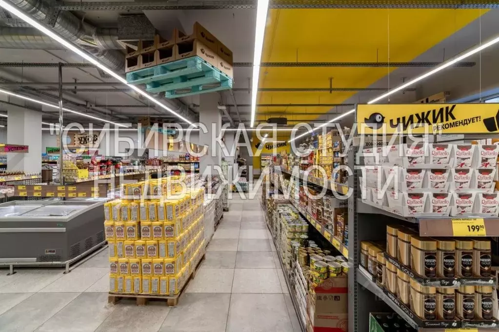 Помещение свободного назначения в Новосибирская область, Новосибирск ... - Фото 1