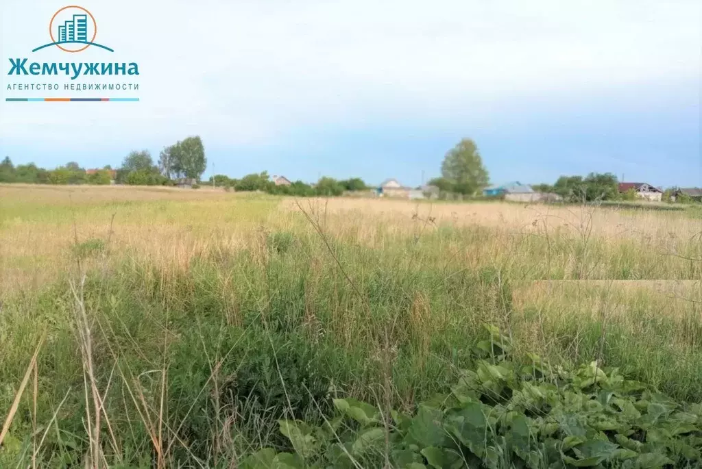 Участок в Ульяновская область, Новомалыклинский район, ... - Фото 1