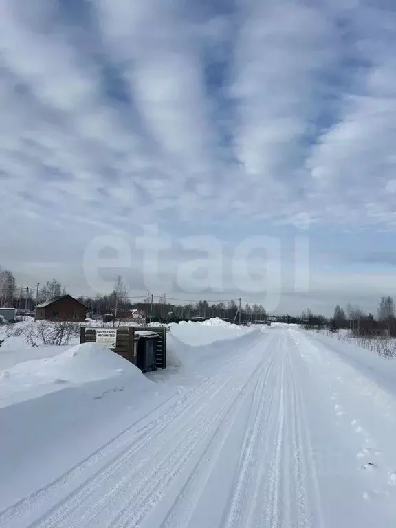 Участок в Новосибирская область, Коченевский район, Тальник СНТ ул. ... - Фото 2