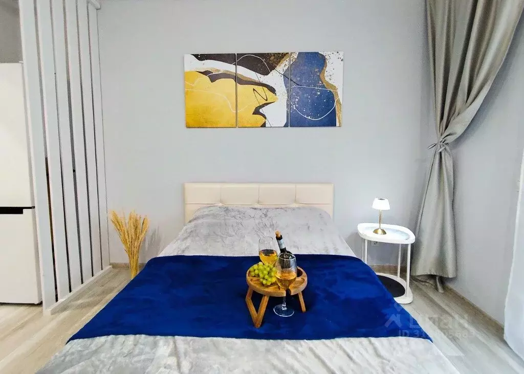 1-к кв. Санкт-Петербург 2-й Предпортовый проезд, 6 (25.0 м) - Фото 1